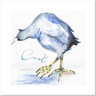 Blue Coot Posters and Art